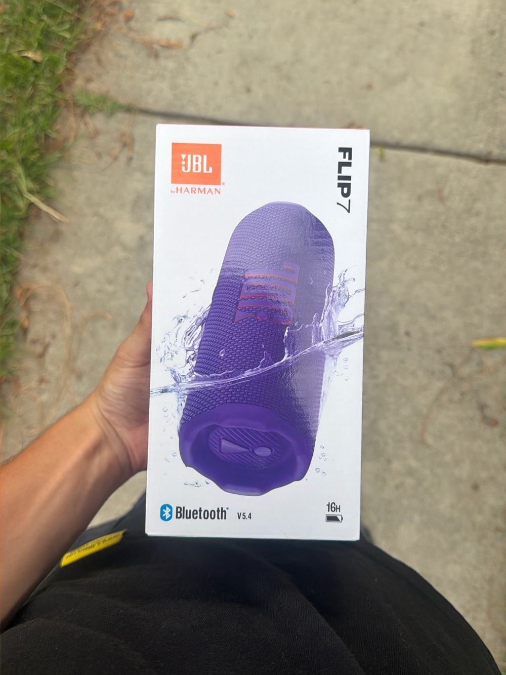 JBL Flip 7 Purple Portable Bluetooth Speaker